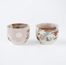 [Japanese Ceramic Sake Set] Autumu Leaves Series